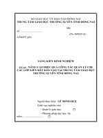 skkn nâng cao hiệu quả công tác quản lý chi các lớp liên kết đào tạo tại trung tâm giáo dục thường xuyên tỉnh đồng nai.