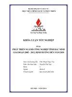 phát triển ngành công nghiệp tỉnh bắc ninh giai đoạn 2005 - 2012, định hướng đến năm 2030