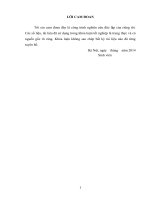 thực trạng và giải pháp tăng cường thu hút vốn đầu tư trực tiếp nước ngoài vào vĩnh phúc