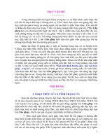 skkn góp một định hướng dạy - học bài câu ghép - lớp 8