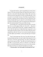 Đề tài chiến lược định vị của viettel mobile trên thị trường Việt Nam