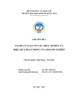Chuyên đề Cơ sở lý luận về cấu trúc sở hữu và hiệu quả hoạt động của doanh nghiệp