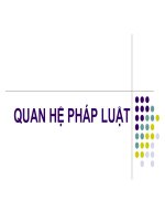 bài giảng quan hệ pháp luật