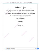 tiểu luận hệ thống hoạch định nguồn lực doanh nghiệp