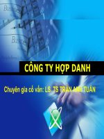 tiểu luận môn luật kinh doanh công ty hợp danh
