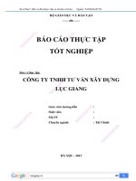 Báo cáo thực tập công ty tnhh tư vấn xây dựng lục giang