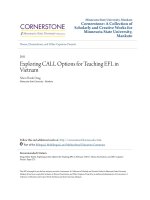 Exploring call options for teaching EFL in Vietnam