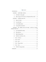 Hệ thống bản đồ trực tuyến sử dụng google map api