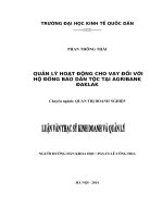 Luận văn thạc sỹ: Quản lý hoạt động cho vay đối với Hộ đồng bào dân tộc tại Chi nhánh Ngân hàng Ngân hàng Nông nghiệp và Phát triển Nông thôn Tỉnh Đắk Lắk