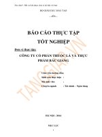 bctt công ty cổ phần thuốc lá và thực phẩm bắc giang