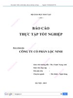Báo cáo thực tập tốt nghiệp tại công ty cổ phần lộc ninh
