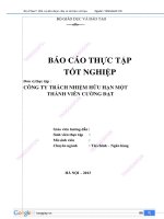 Báo cáo thực tập công ty trách nhiệm hữu hạn một thành viên cường đạt