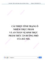 cải thiện tình trạng ô nhiễm và an toàn vệ sinh thực phẩm đường phố hà nội