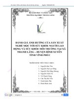 đánh giá ảnh hưởng của sản xuất nghề mộc tới sức khỏe của người lao động và môi trường