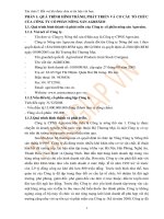 Báo cáo thực tập tại  công ty cổ phần nông sản agrexim