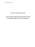 TIỂU LUẬN MÔN KINH TẾMÔN kinh tế vi mô đề tài:  TẠI SAO TRONG THỜI KỲ KHỦNG HOẢNG NGƯỜI TA LẠI CHÚ TRỌNG ĐẦU TƯ VÀO VIỆC HỌC