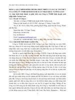 Báo cáo thực tập tại công ty tnhh kinh doanh xuất nhập khẩu tường loan