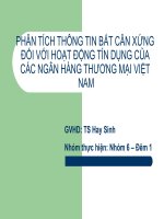 báo cáo phân tích thông tin bất cân xứng với hoạt động tín dụng của nhtm việt nam