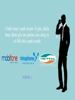 báo cáo tiểu luận chiến lược cạnh tranh về giá, chiến lược định giá sản phẩm của công ty và đối thủ cạnh tranh