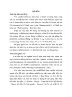 Nghiên cứu xây dựng hạ tầng khóa công khai phục vụ thư tín điện tử và thương mại điện tử