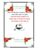 BÁO CÁO NỘI DUNG TỰ HỌC TỰ BỒI DƯỠNG PHẦN KIẾN THỨC TỰ CHỌN   PHƯƠNG PHÁP NGHIÊN CỨU KHOA HỌC SƯ PHẠM ỨNG DỤNG  MÃ MODULE 29.