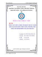 Nâng cao chất lượng tín dụng trung và dài hạn tại Ngân hàng công thương Việt Nam chi nhánh Đông Sài Gòn