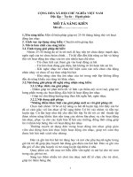 skkn một số biện pháp giúp trẻ 25-36 tháng tuổi hứng thú với hoạt động âm nhạc trường mầm non phú khương