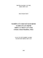 Nghiên cứu một số mầm bệnh vi khuẩn gây bệnh trên cá thát lát còm Chitala Chitala