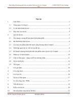 tiểu luận môn quản lý dự án hoạt động marketing phát thử sản phẩm nước ép trái cây compal