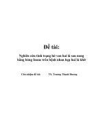 Nghiên cứu tình trạng hở van hai lá sau nong bằng bóng Inoue trên bệnh nhân hẹp hai lá khít