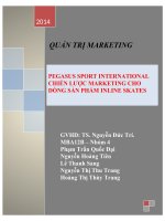 tiểu luận quản trị marketing quốc tế pegasus sport international chiến lược marketing cho dòng sản phẩm inline skates