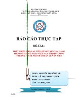 Phát triển cho vay tiêu dùng tại Ngân hàng Việt Nam Thịnh Vượng chi nhánh chuẩn Lê Văn Việt