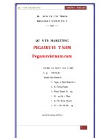 quản trị marketing pegasus việt nam pegasusvietnam.com
