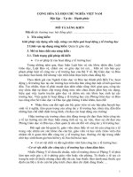 skkn giải pháp xây dựng nề nếp, nâng cao chất lượng  hiệu quả công tác y tế trường học tân bình