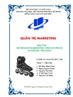 bài tập kế hoạch marketing cho sản phẩm fat2slim - pegasus