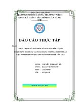 Nâng cao chất lượng tín dụng tại Ngân hàng Việt Nam Thịnh Vượng chi nhánh Lê Văn Việt