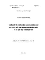 Nghiên cứu tổn thương động mạch vành bằng MSCT 64 lát cắt trên bệnh nhân đái tháo đường type 2 có chỉ định chụp động mạch vành
