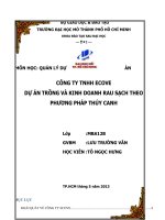 tiểu luận môn quản lý dự án công ty tnhh ecove dự án trồng và kinh doanh rau sạch theo phương pháp thủy canh