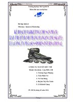 kế hoạch marketing cho sản phẩm giầy trượt bánh thẳng hàng in line skate của công ty pegasus sports international