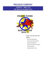 tiểu luận quản trị marketing quốc tế kế hoạch marketing pegasus company