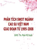 PHÂN TÍCH SWOT NGÀNH CAO SU VIỆT NAM GIAI ĐOẠN TỪ 1995-2008