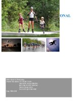 tiểu luận quản trị marketing quốc tế pegasus sports international