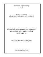 Đánh giá tác dụng của chế phẩm Angiohibin trong hỗ trợ điều trị tăng huyết áp nguyên phát độ I