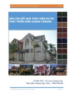 báo cáo kết quả thực hiện dự án phát triển kinh doanh corona