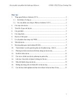 tiểu luận môn quản lý dự án dự án phát sản phẩm thử bánh quy balocco