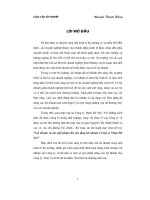 Luận văn Lợi nhuận và các giải pháp chủ yếu tăng lợi nhuận ở công ty Nhựa Hà Nội