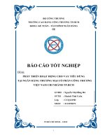 Phát triển cho vay tiêu dùng tại Ngân hàng công thương chi nhánh thành phố Hồ Chí Minh