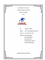 tiểu luận quản trị marketing quốc tế chiến lược marketing của pegasus tại thị trường mỹ