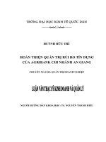 Luận văn thạc sỹ: Hoàn thiện quản trị rủi ro tín dụng của Agribank Chi nhánh An Giang