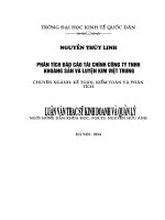 Luận văn thạc sỹ: Phân tích báo cáo tài chính Công ty TNHH khoáng sản và luyện kim Việt Trung